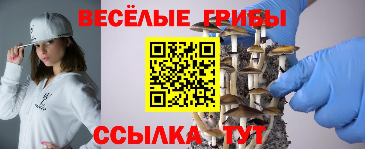 Псилоцибиновые грибы прущие грибы Орёл