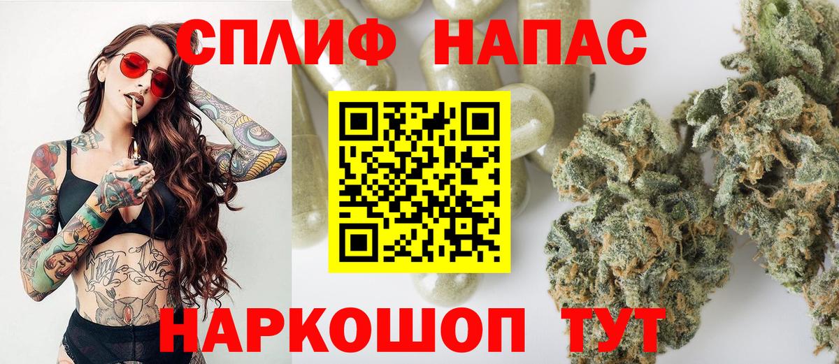 Канабис планчик Орёл